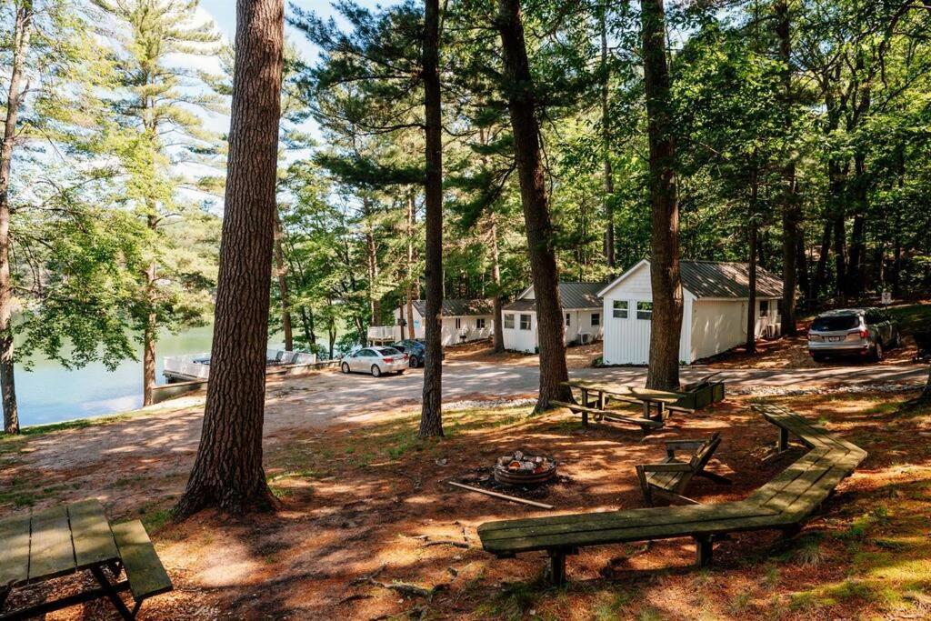 Cabin On Beautiful Arbutus Lake Near טראוורס סיטי מראה חיצוני תמונה